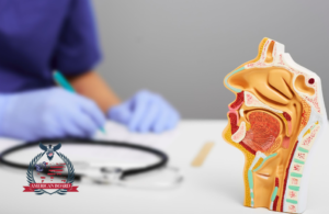 البورد الأمريكي في الأنف والأذن والحنجرة